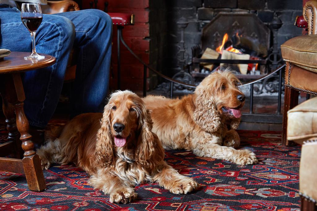 Spread Eagle Hotel And Spa Midhurst Buitenkant foto