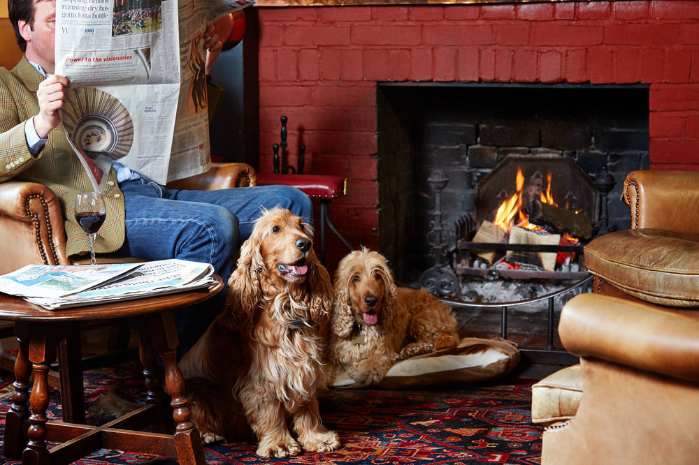 Spread Eagle Hotel And Spa Midhurst Buitenkant foto
